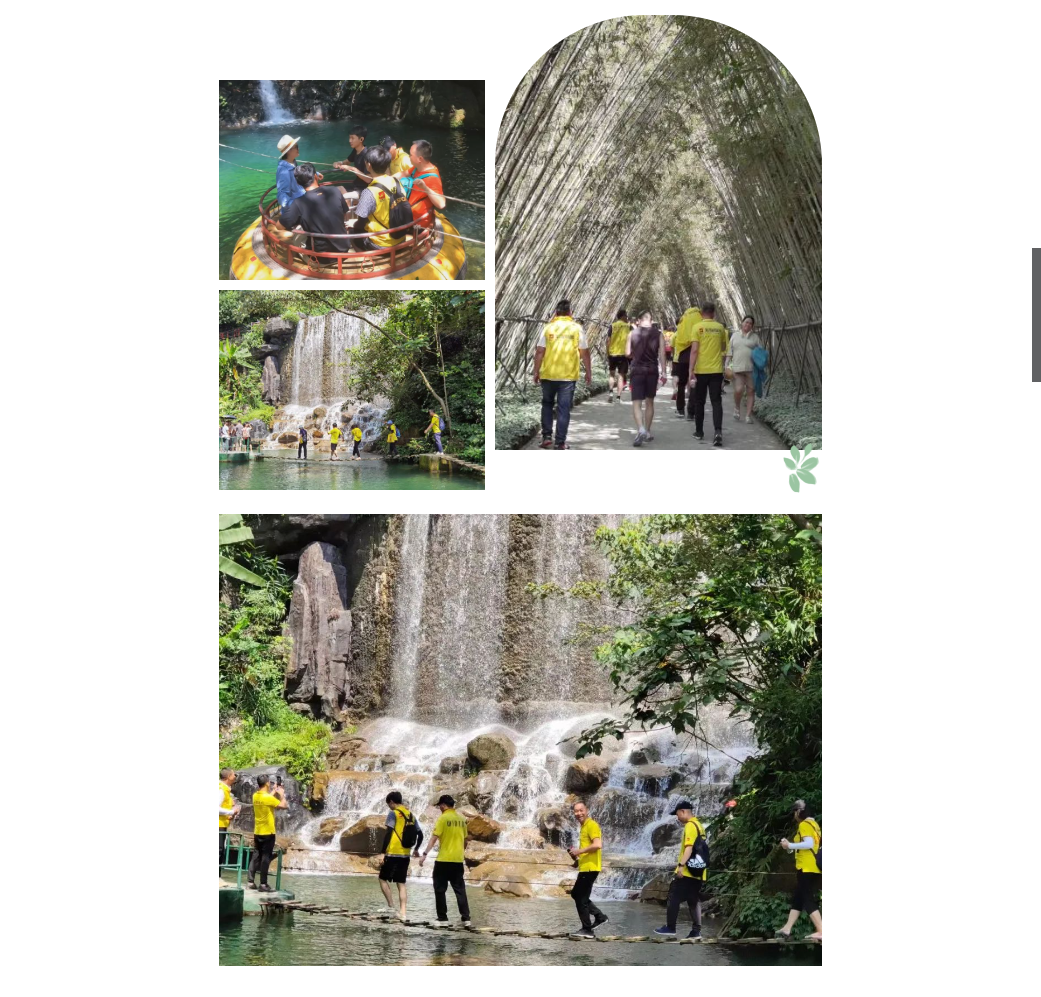 太阳城官网(中国)集团有限公司