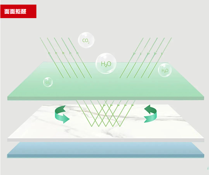 太阳城官网(中国)集团有限公司