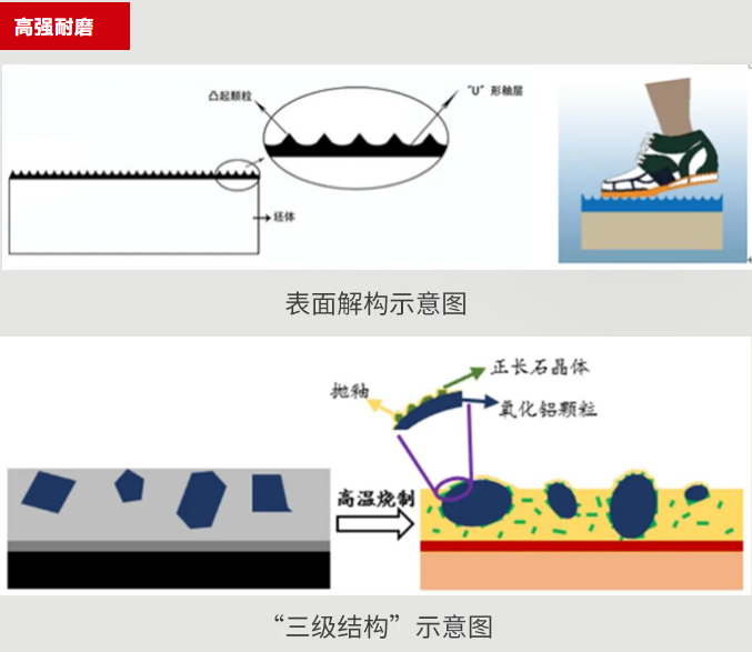 太阳城官网(中国)集团有限公司