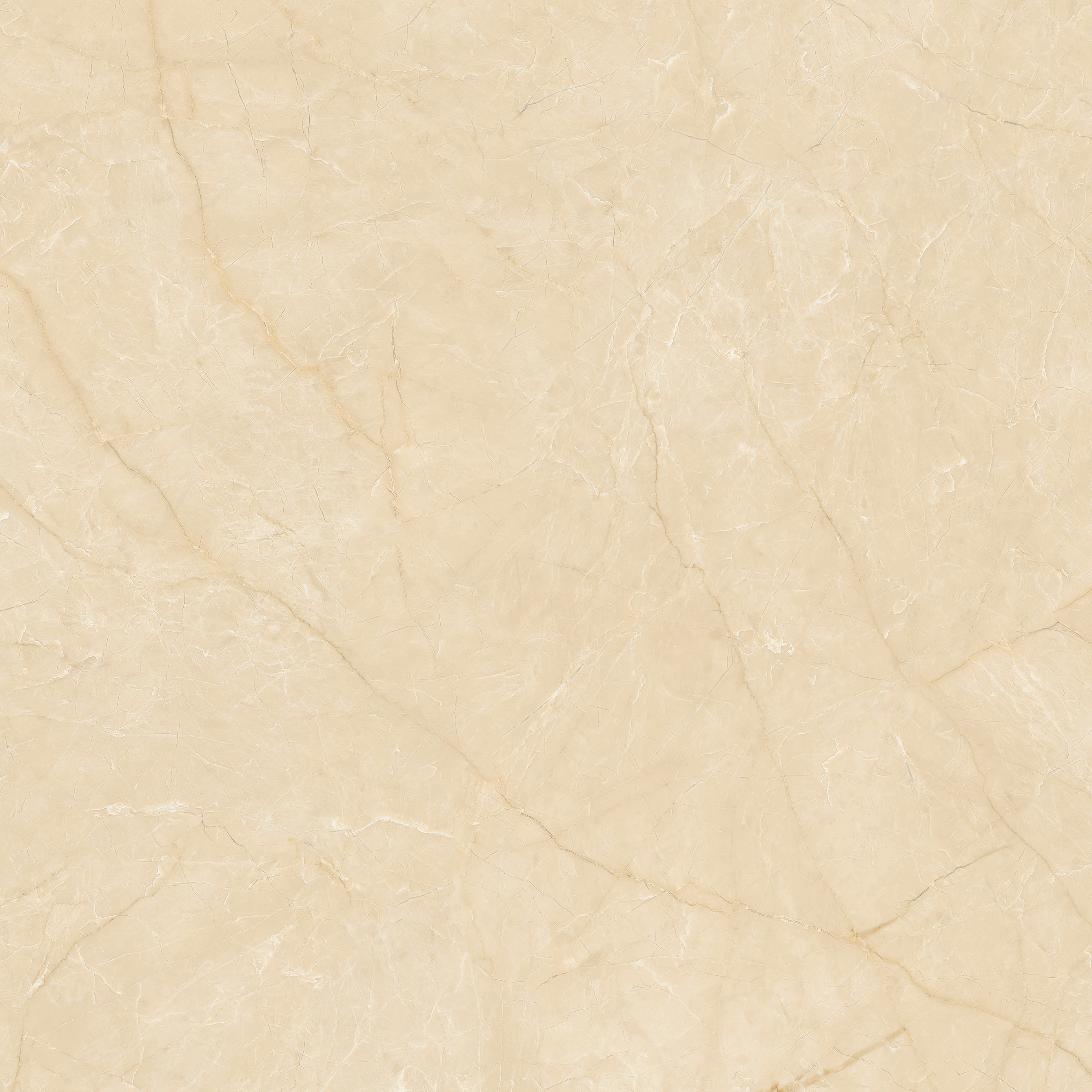 太阳城官网(中国)集团有限公司