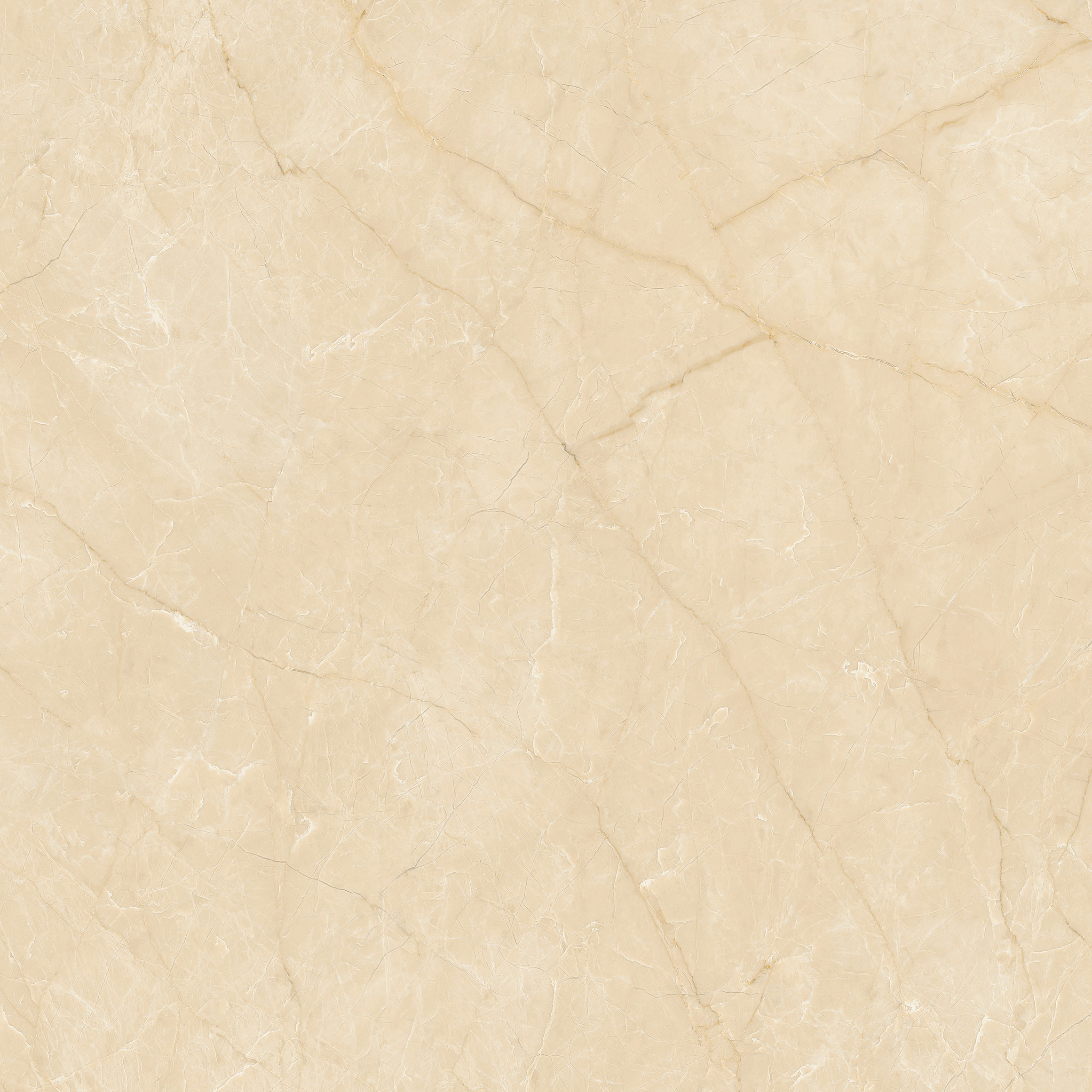 太阳城官网(中国)集团有限公司