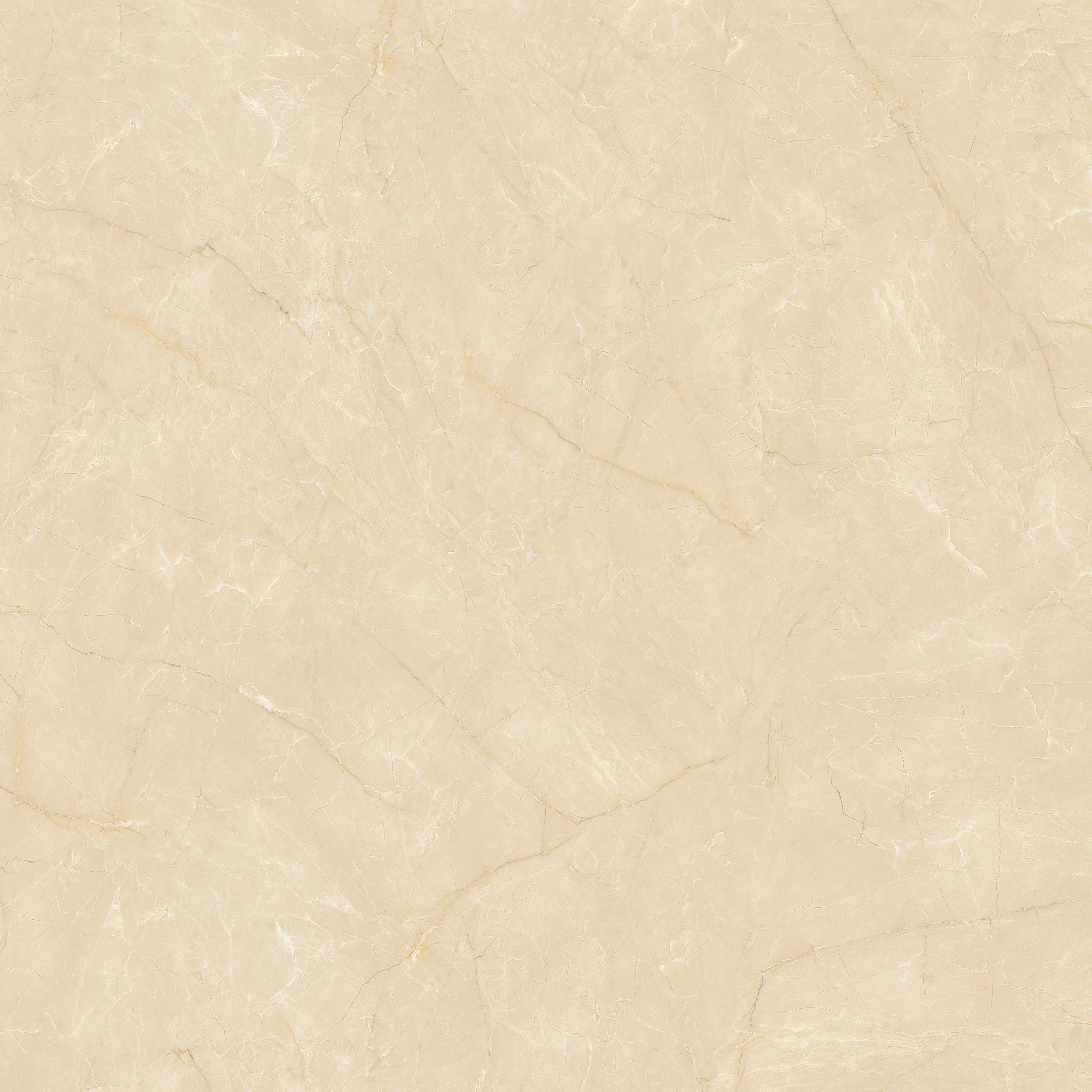 太阳城官网(中国)集团有限公司