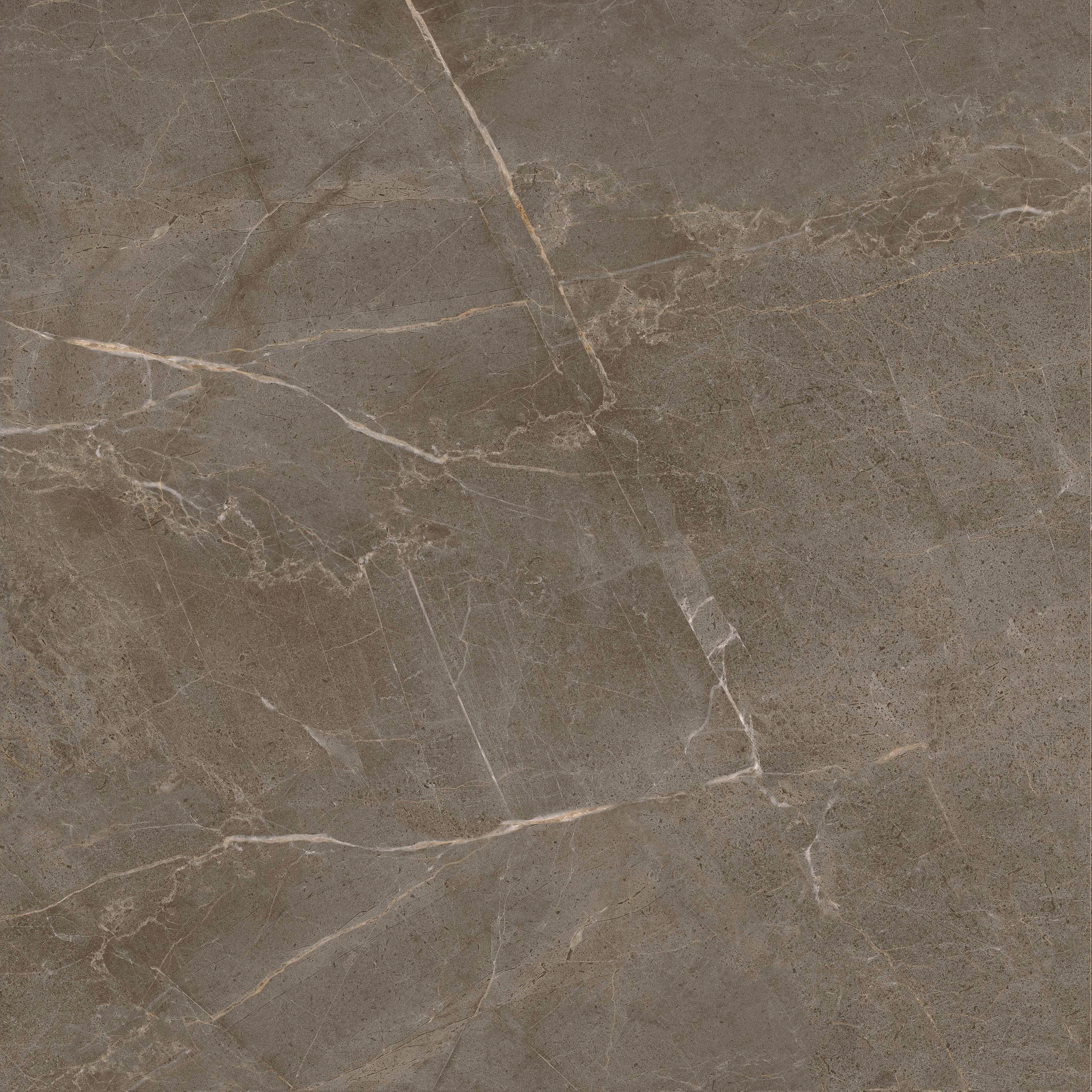 太阳城官网(中国)集团有限公司