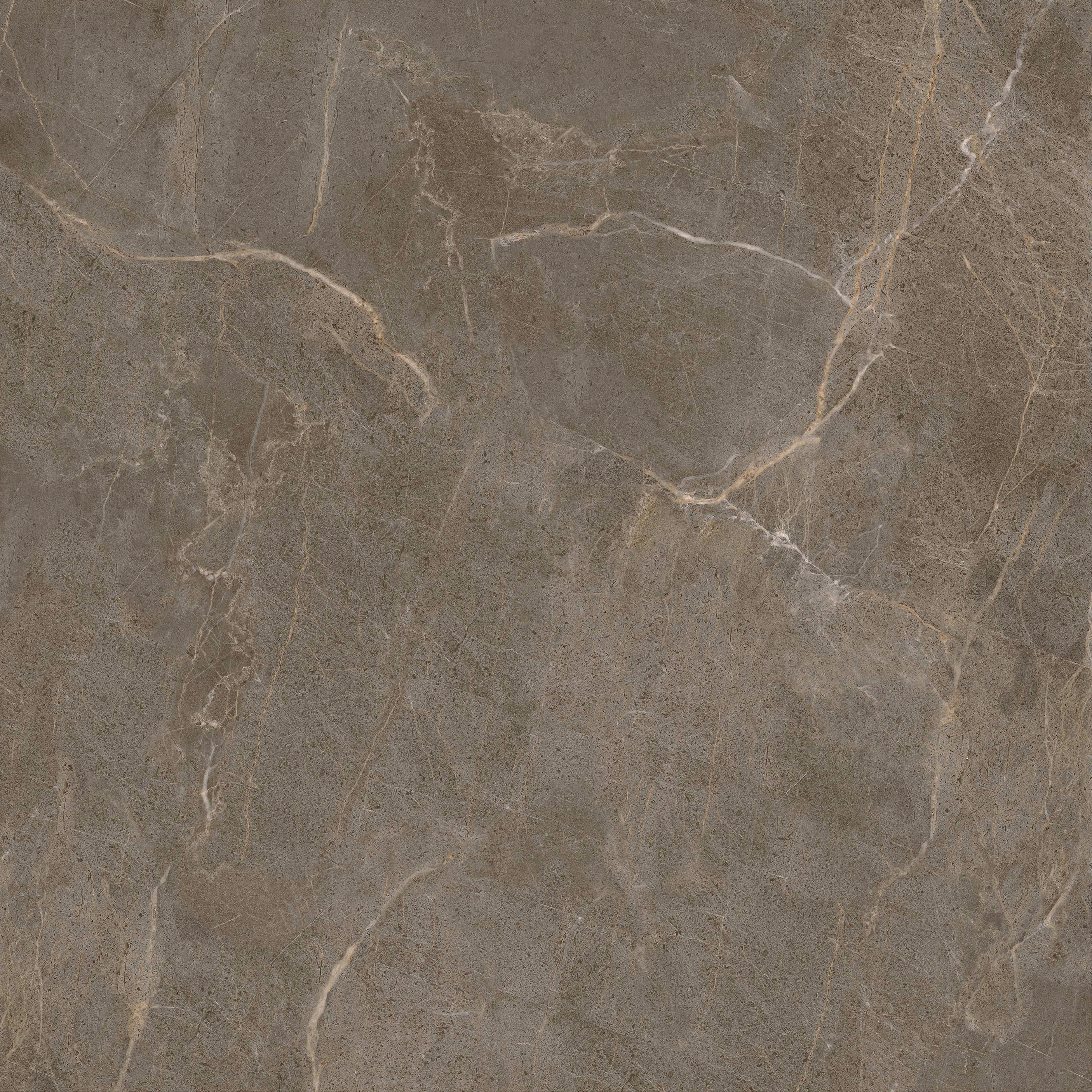 太阳城官网(中国)集团有限公司