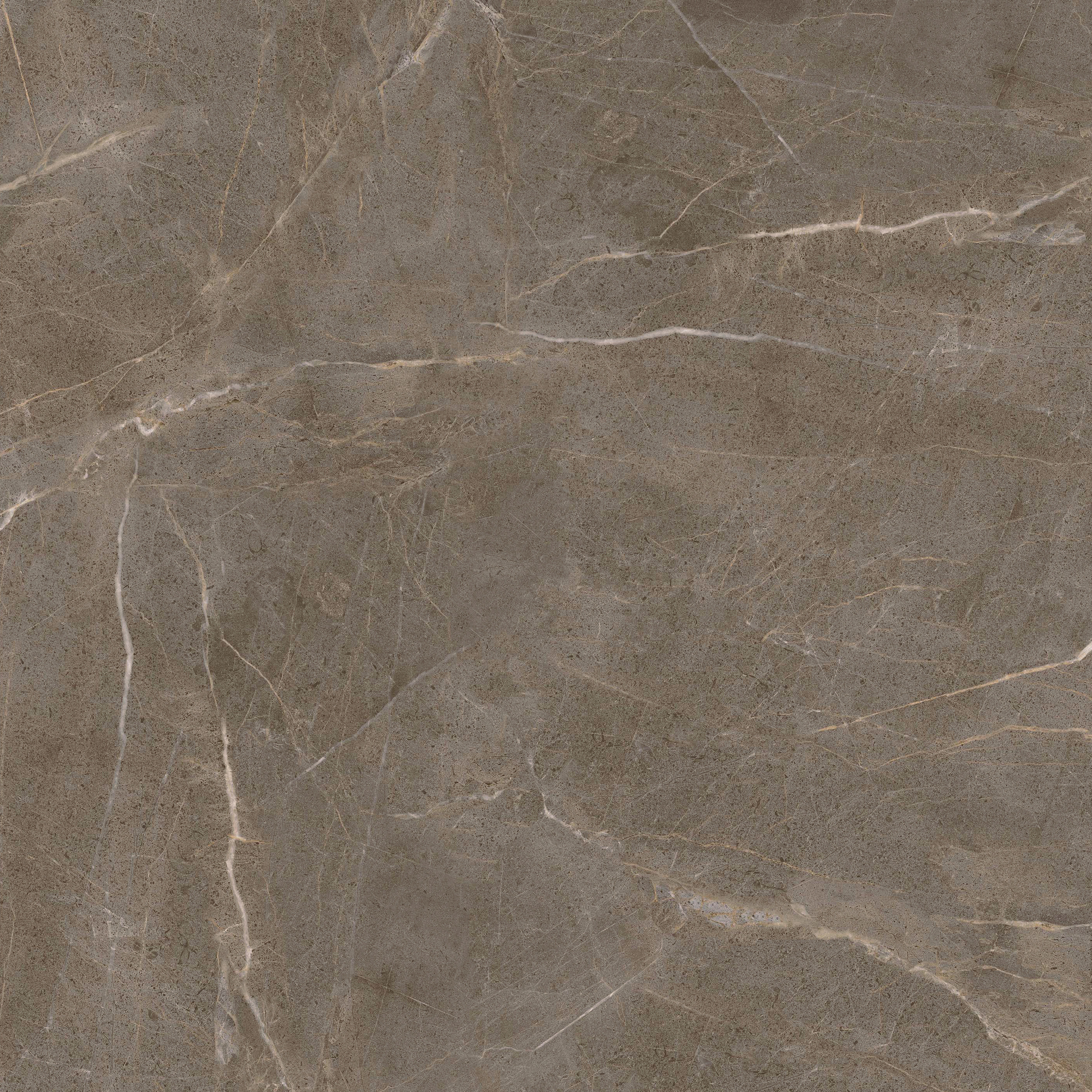 太阳城官网(中国)集团有限公司