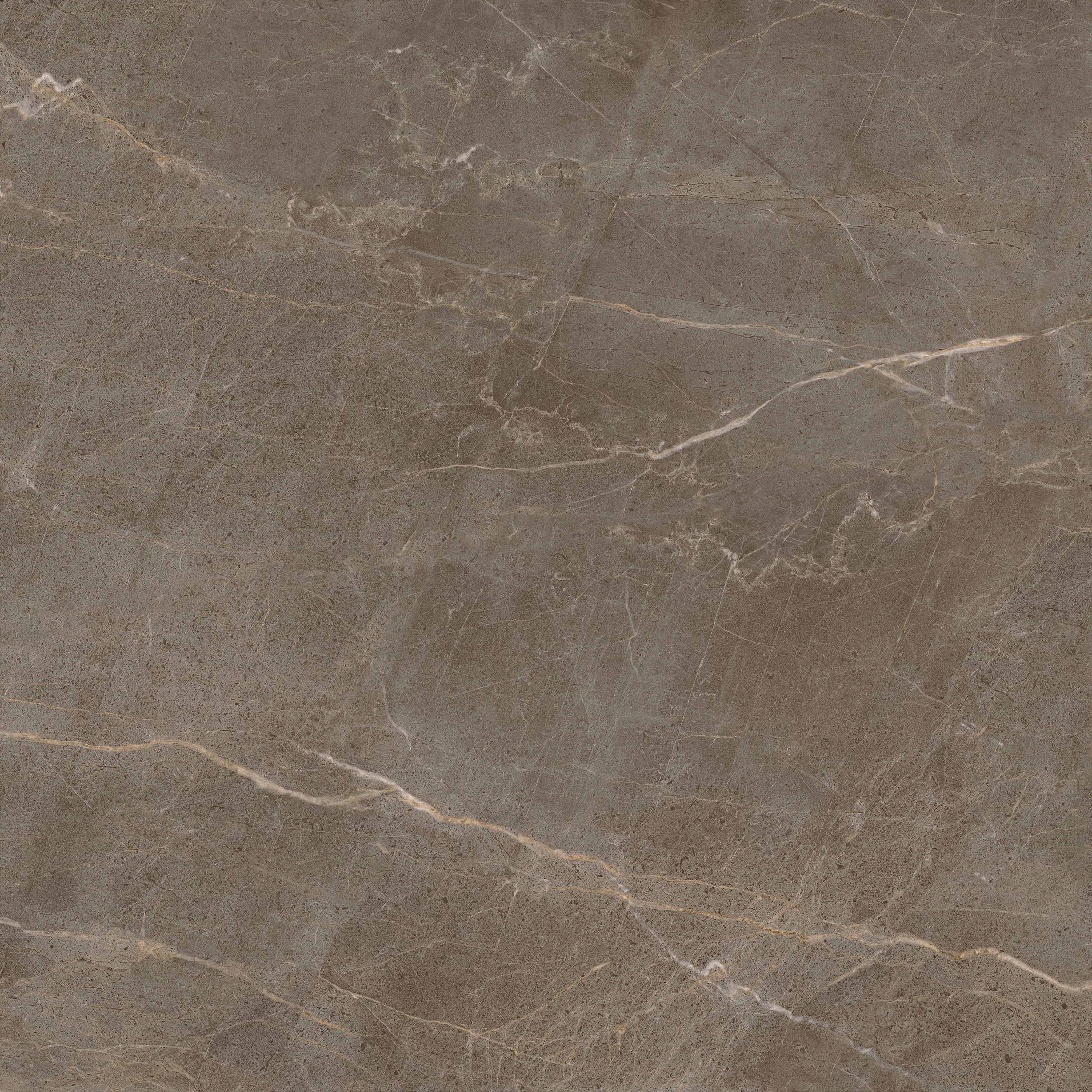 太阳城官网(中国)集团有限公司