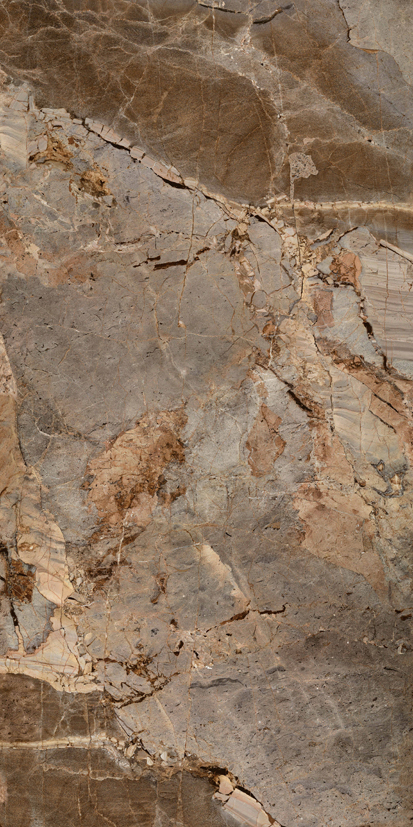 太阳城官网(中国)集团有限公司