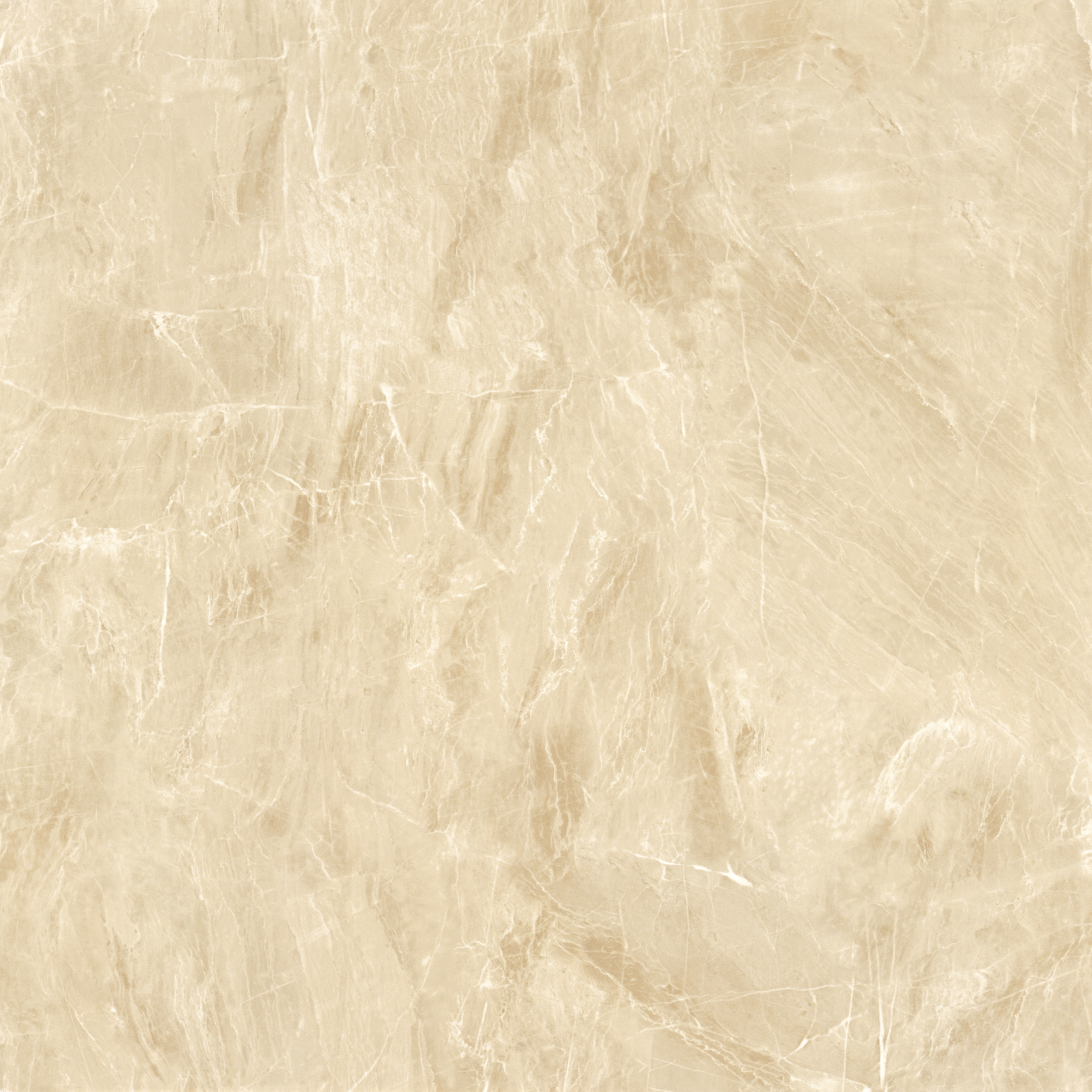 太阳城官网(中国)集团有限公司