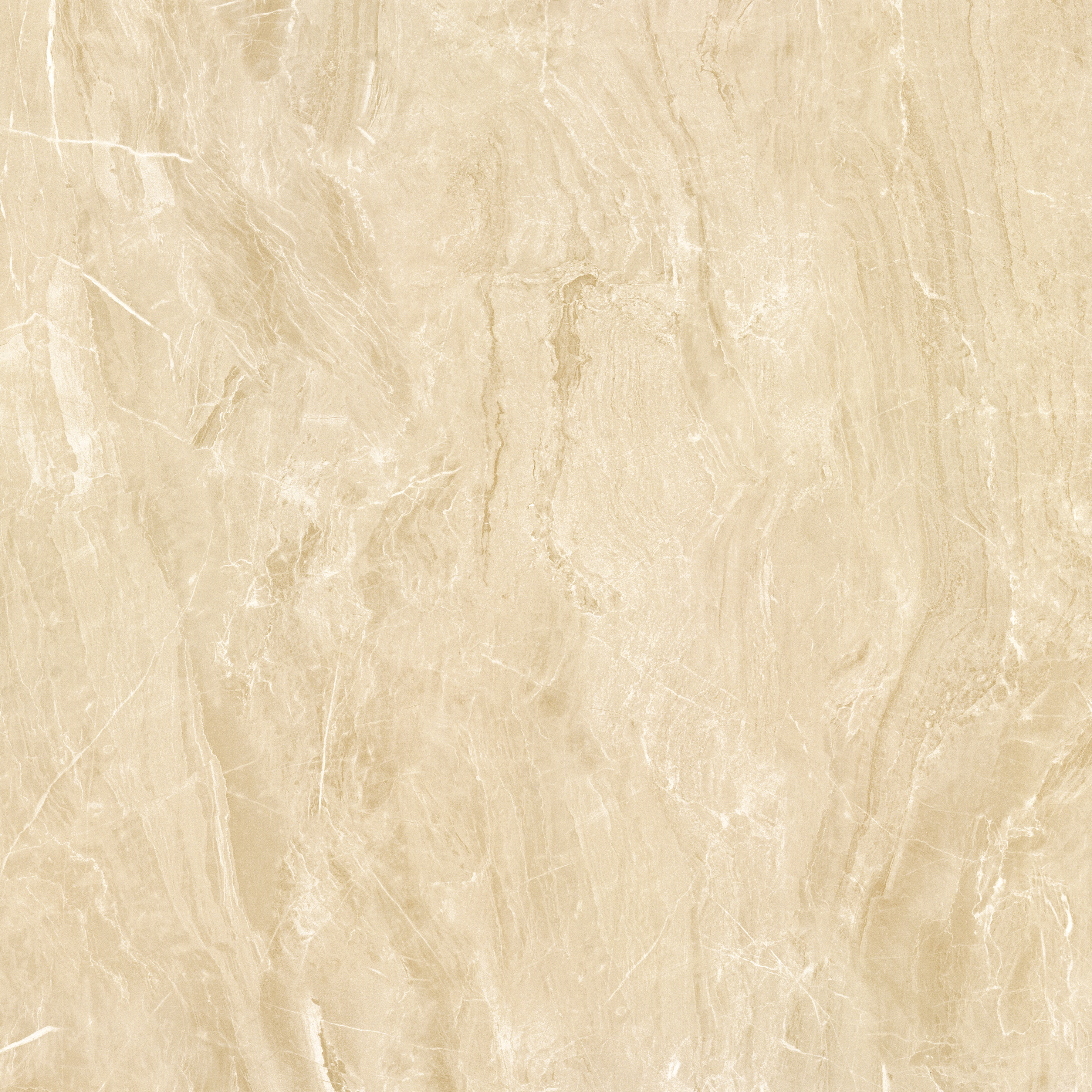 太阳城官网(中国)集团有限公司