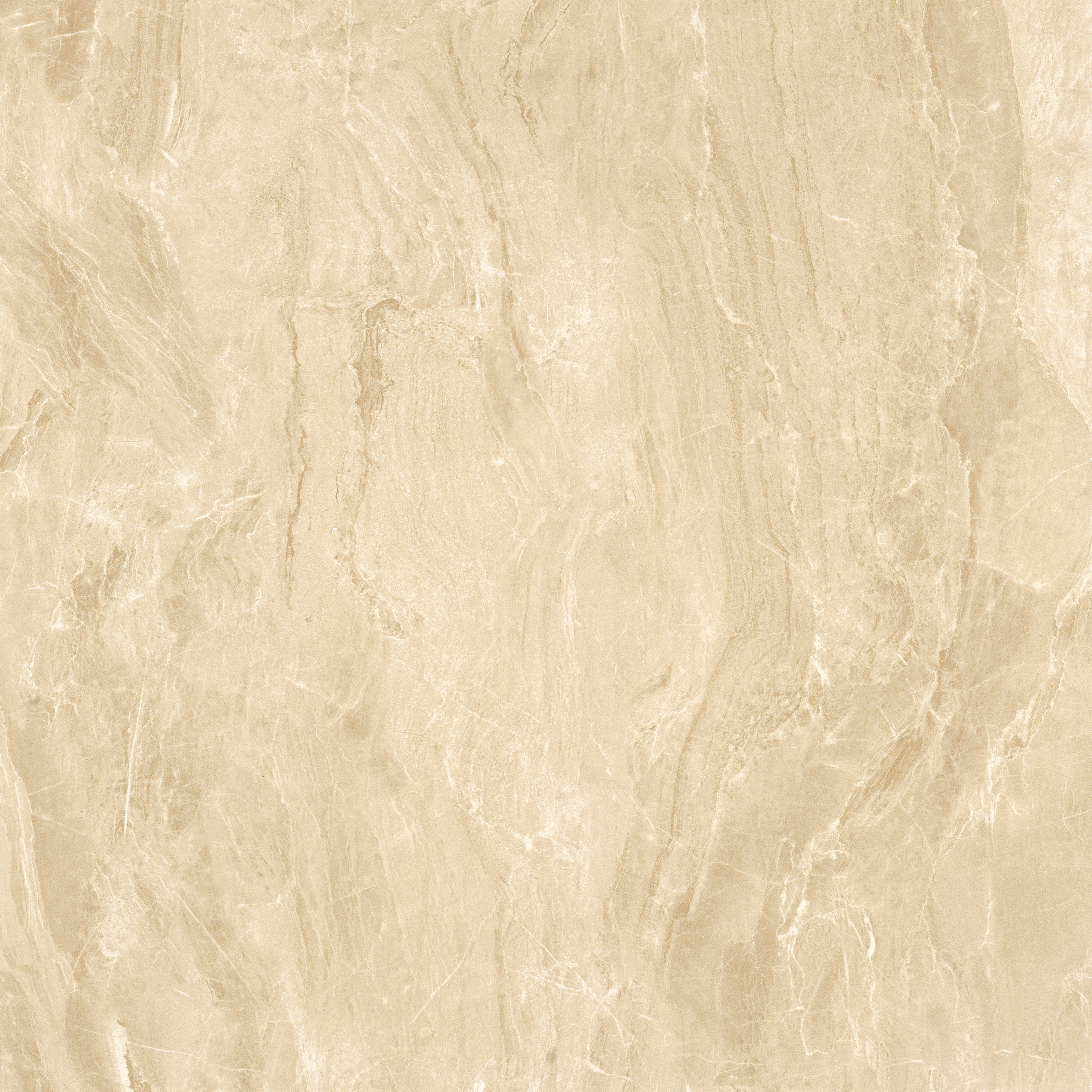 太阳城官网(中国)集团有限公司