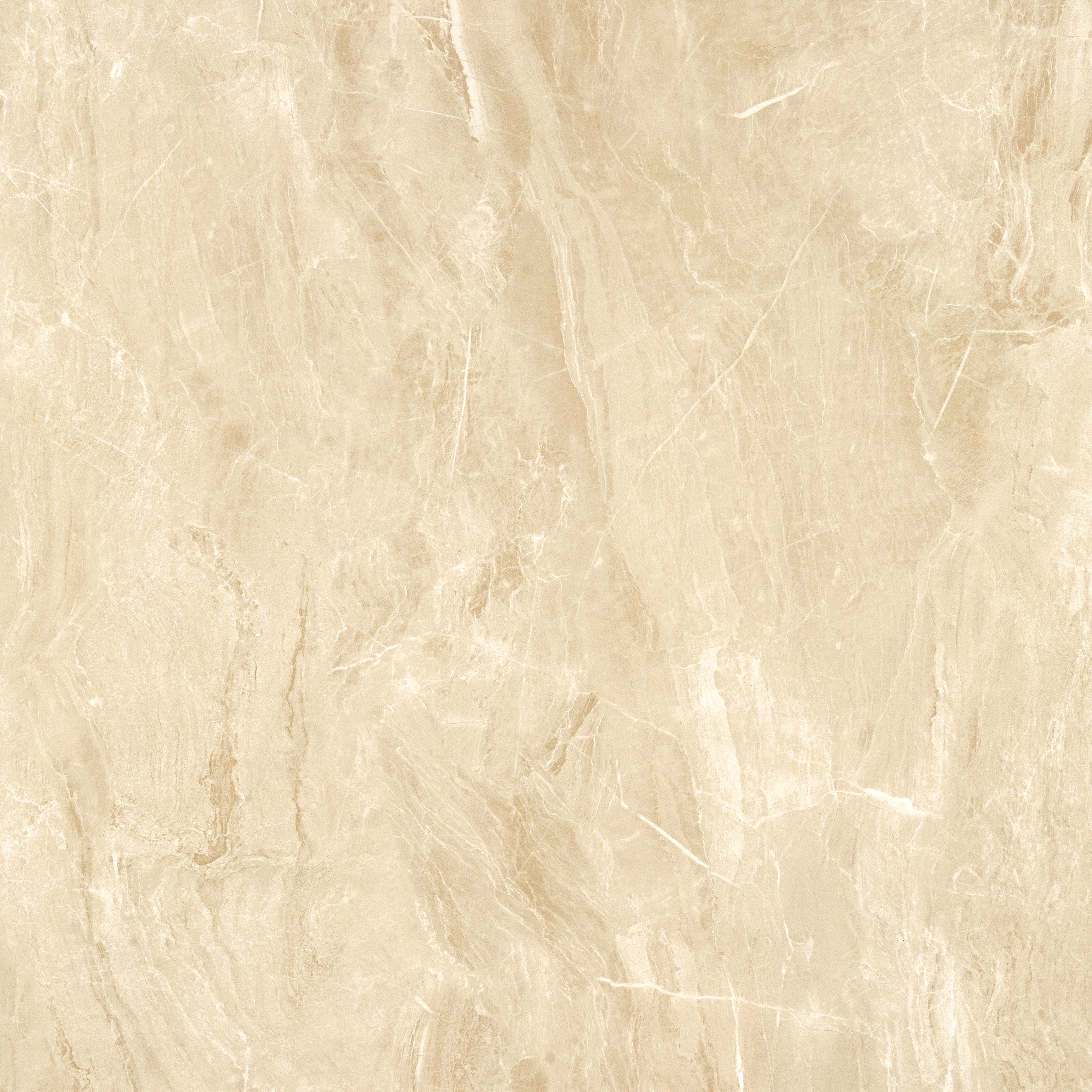 太阳城官网(中国)集团有限公司