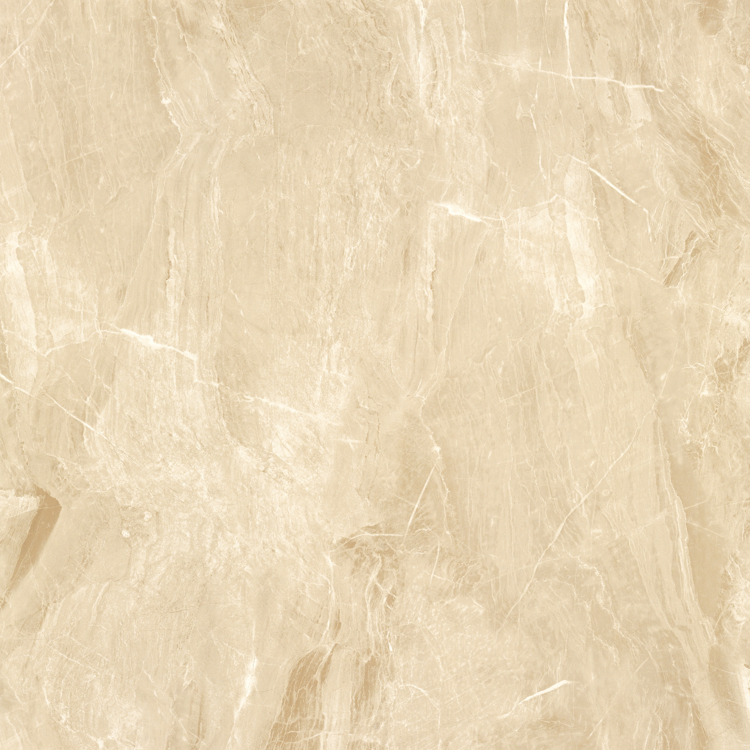 太阳城官网(中国)集团有限公司