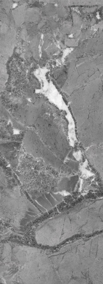 太阳城官网(中国)集团有限公司