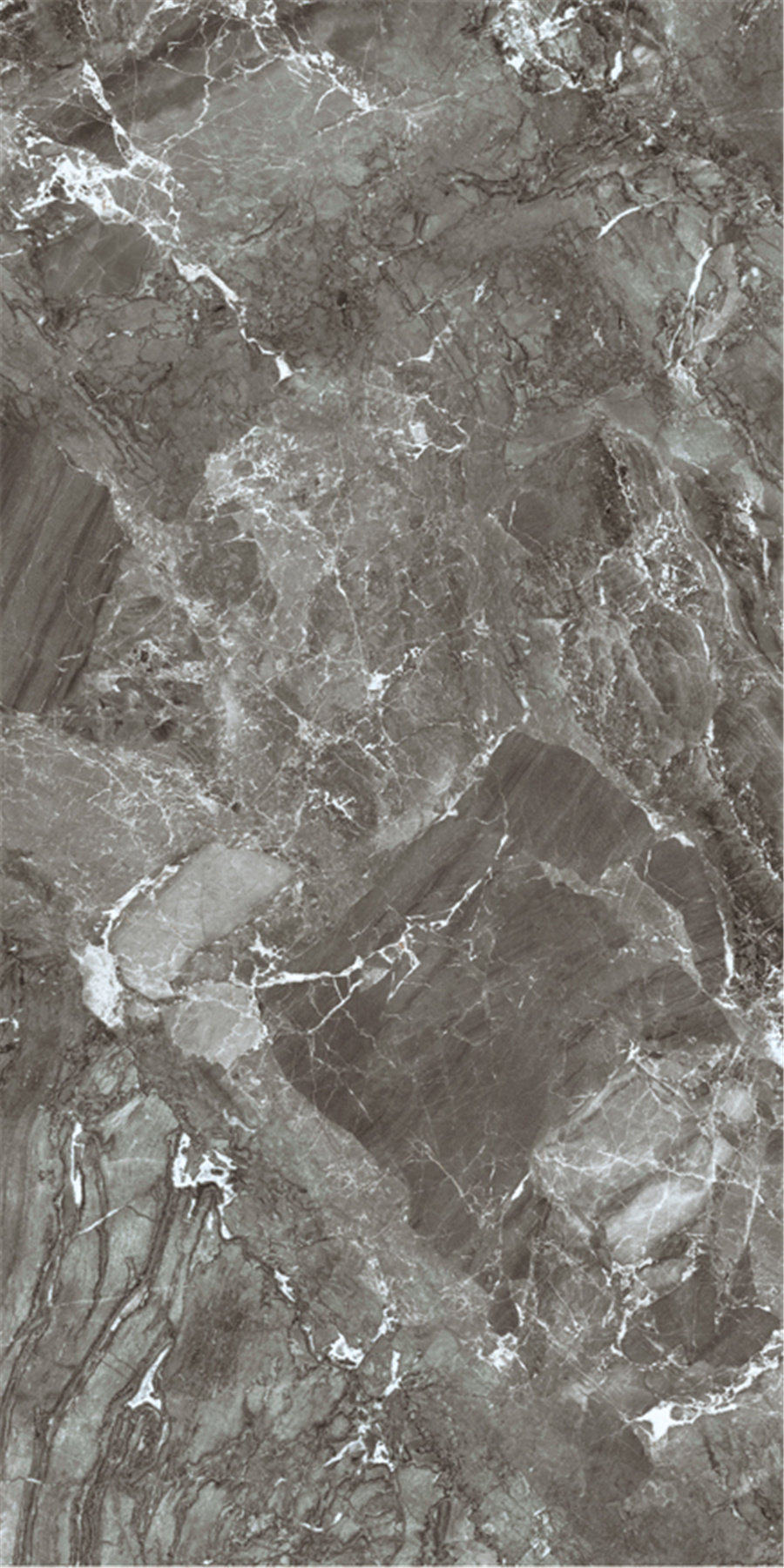 太阳城官网(中国)集团有限公司