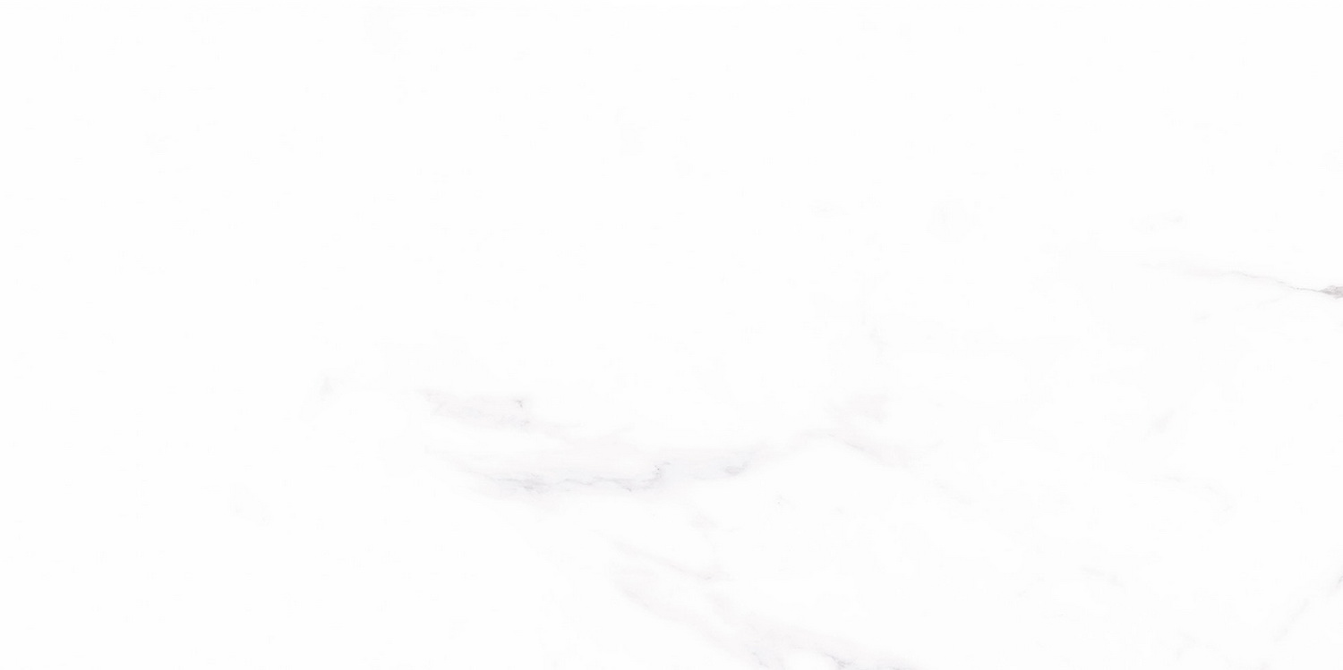 2A60812(300x600)图2