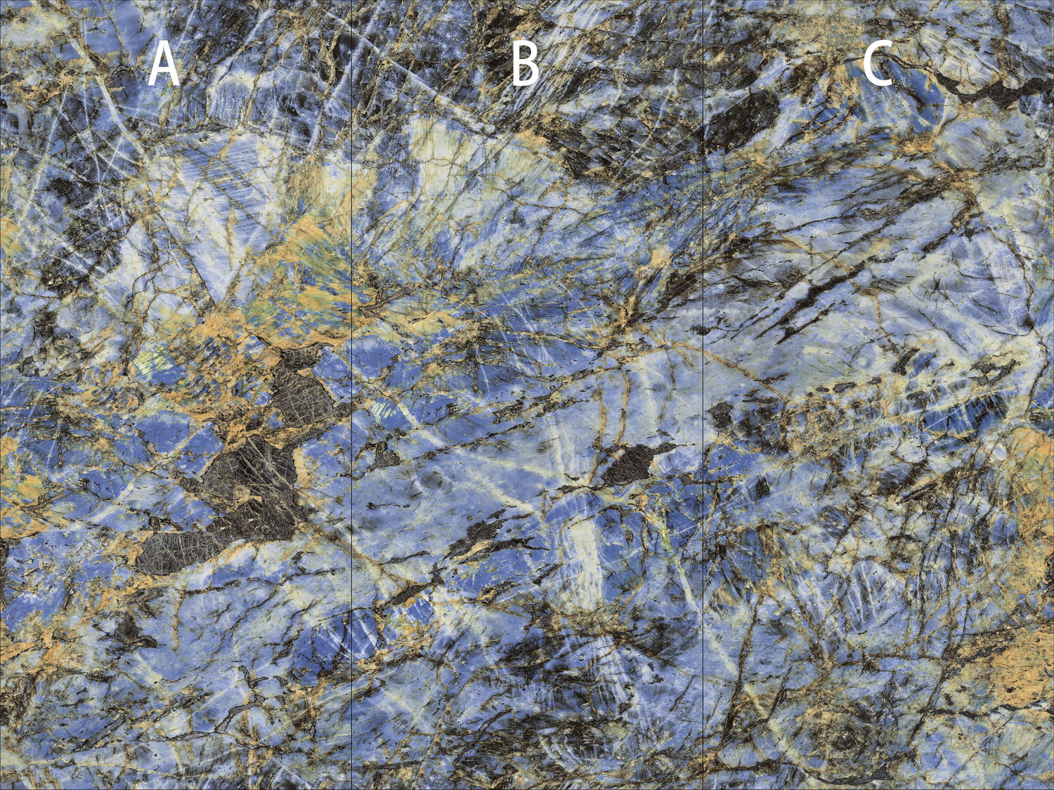 太阳城官网(中国)集团有限公司