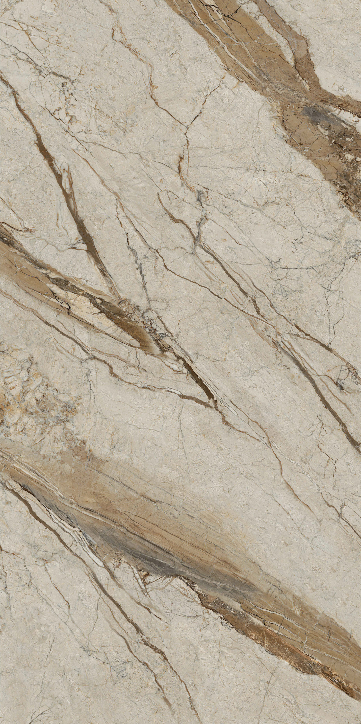 太阳城官网(中国)集团有限公司