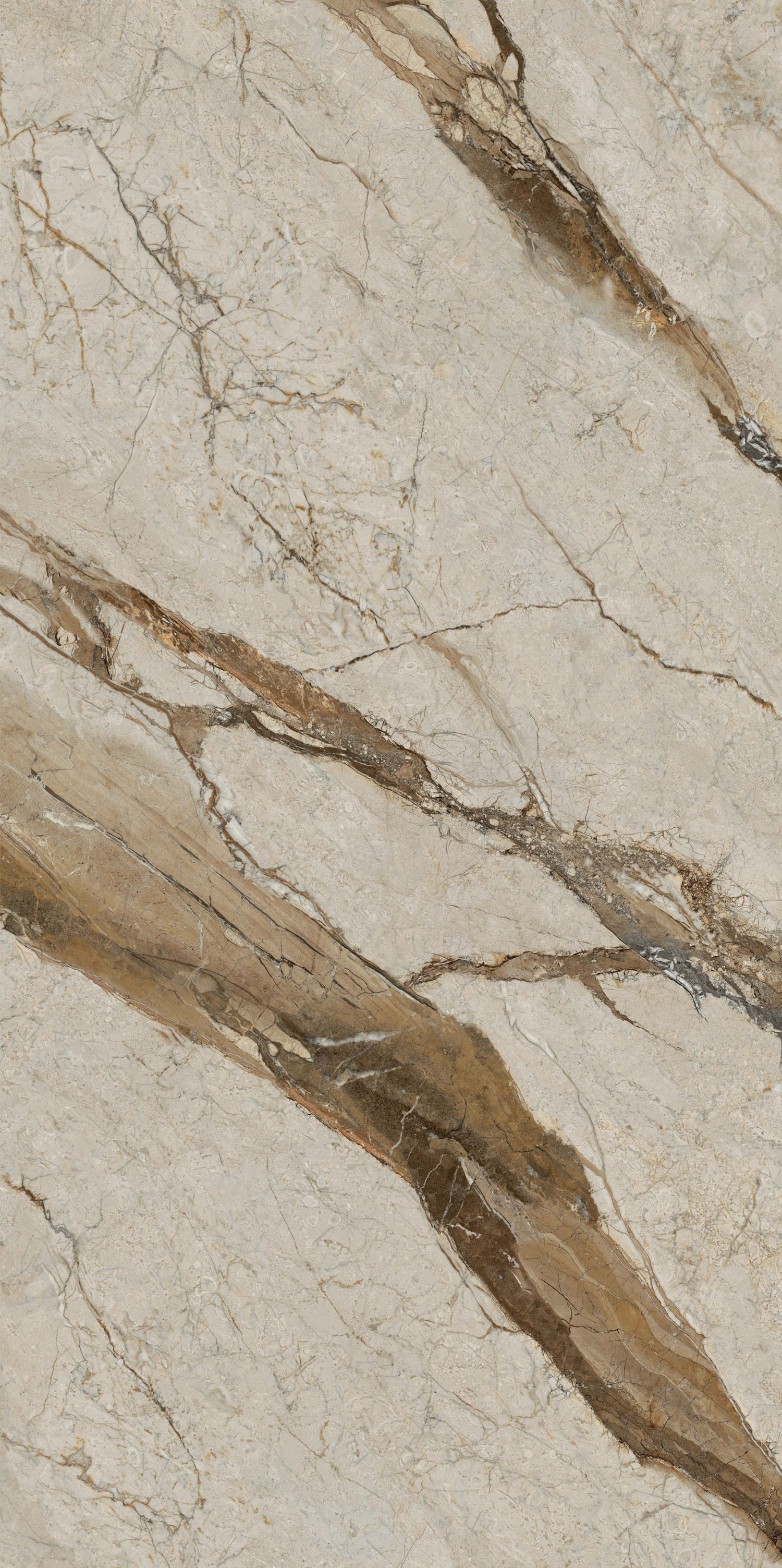 太阳城官网(中国)集团有限公司