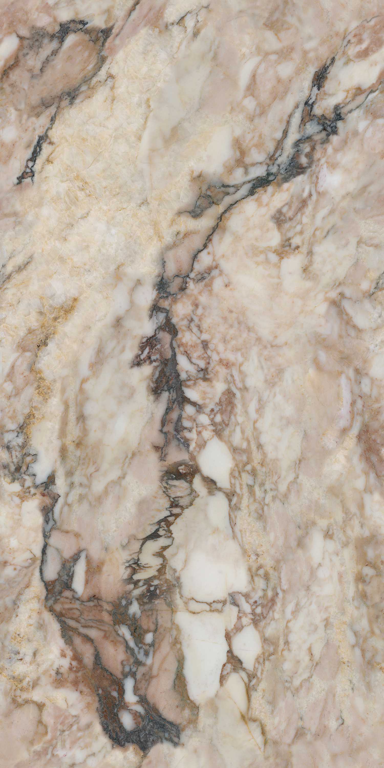 太阳城官网(中国)集团有限公司