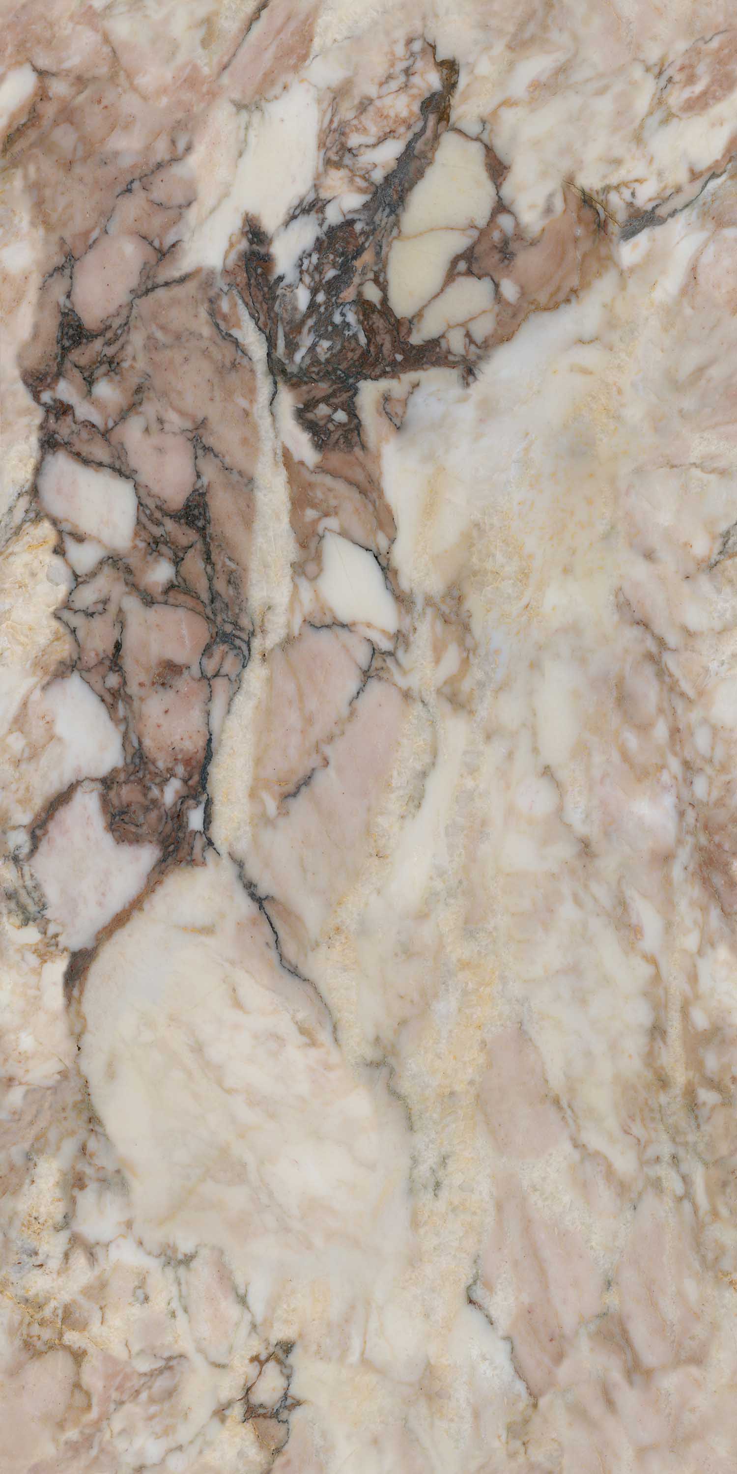 太阳城官网(中国)集团有限公司