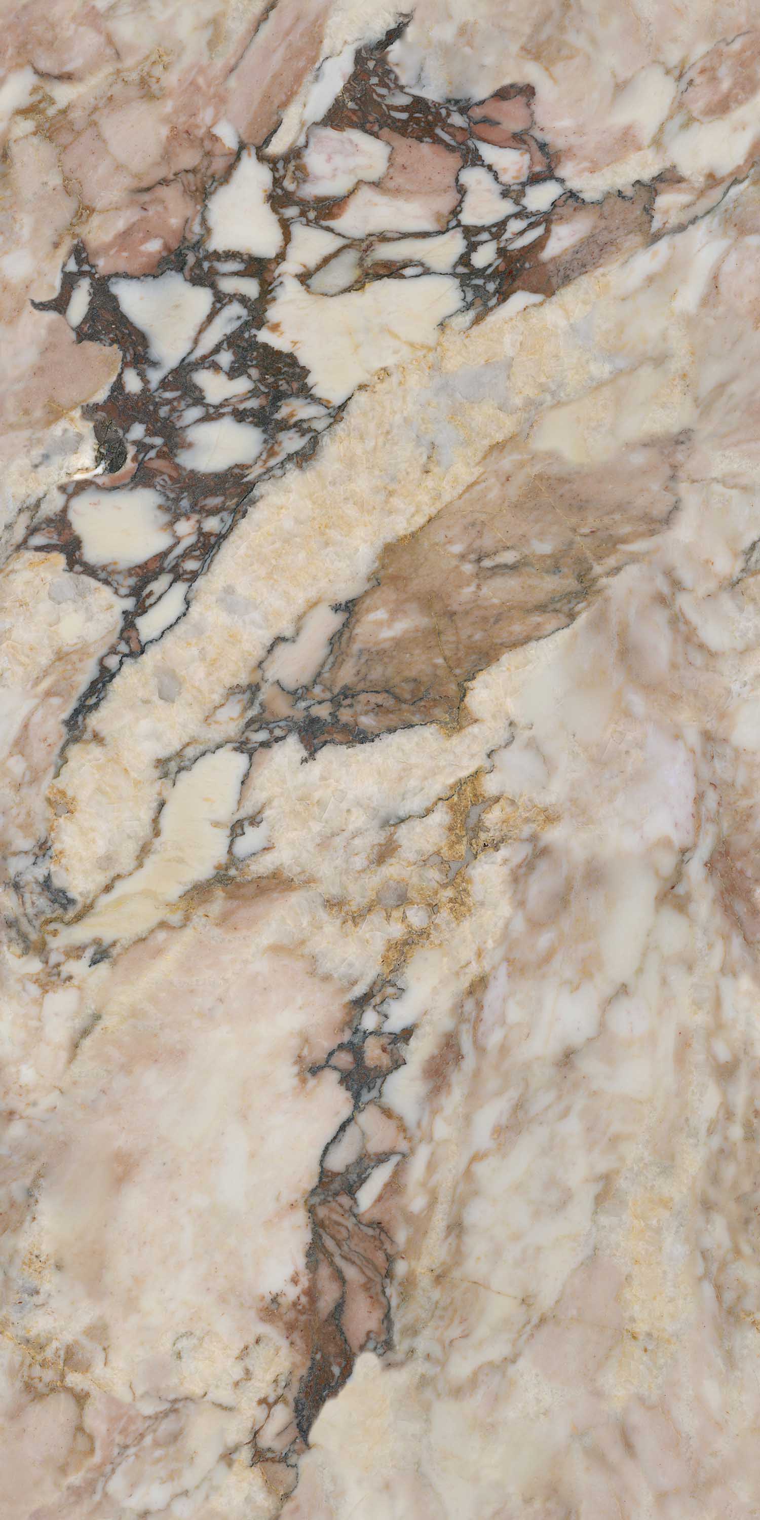 太阳城官网(中国)集团有限公司